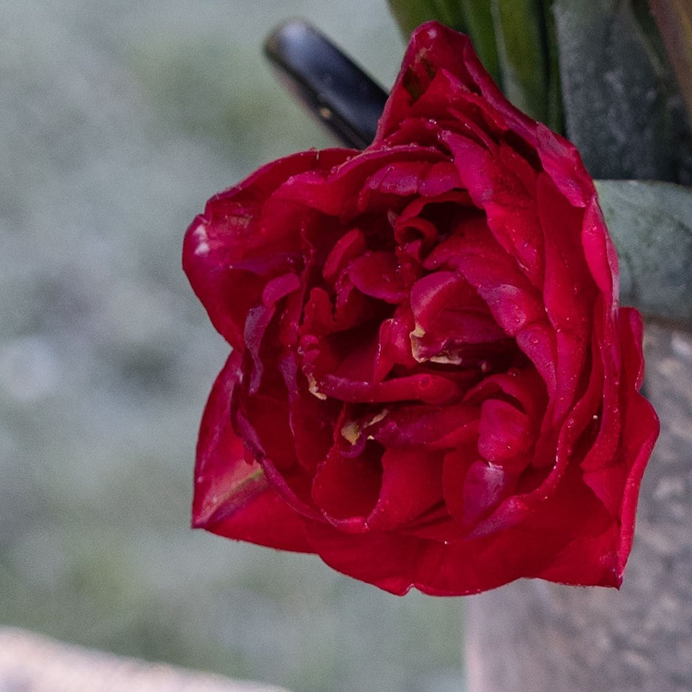 Product options image