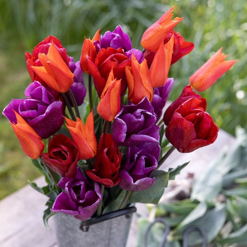 Product options image