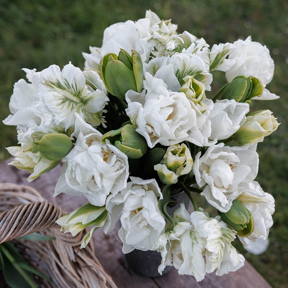 Product options image