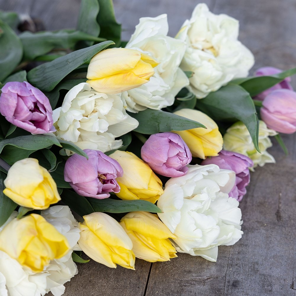 Product options image