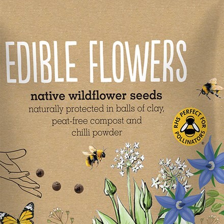 Seedballs edible flowers seedbombs