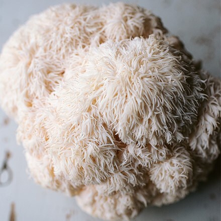 Lion's mane mushrooms