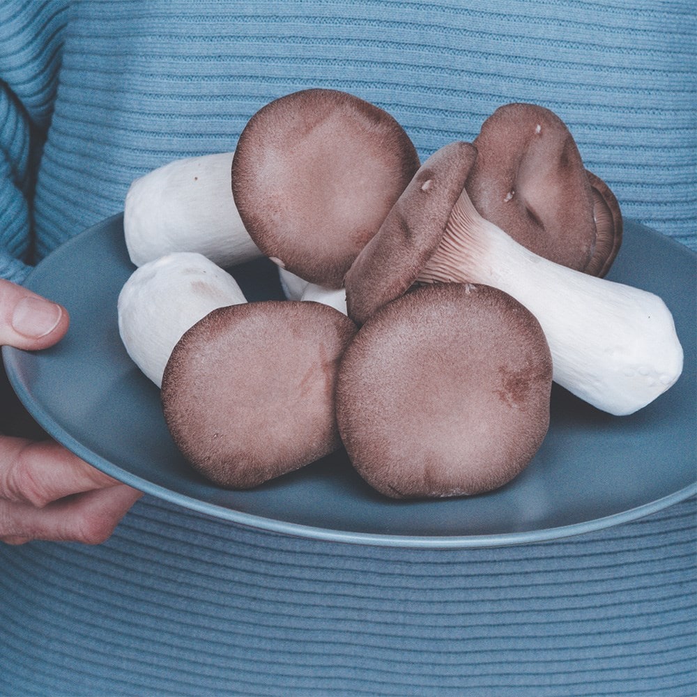 Product options image