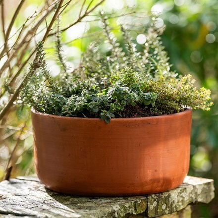 Mother's day herb bowl kit