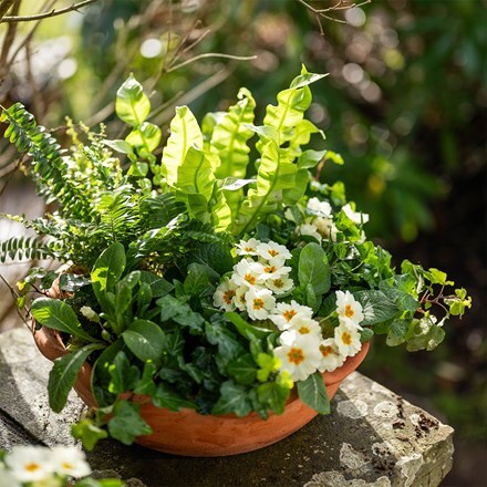 Mother's day ruffle bowl kit
