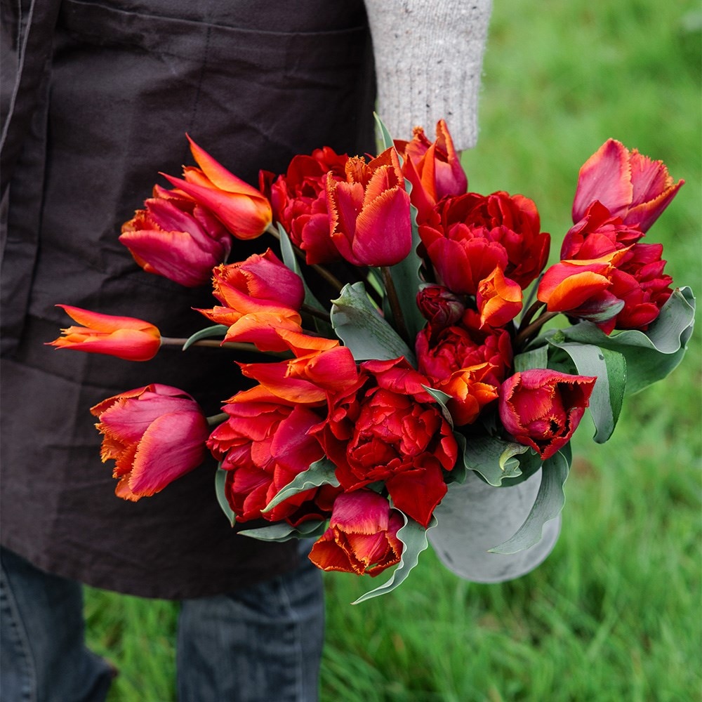 Product options image