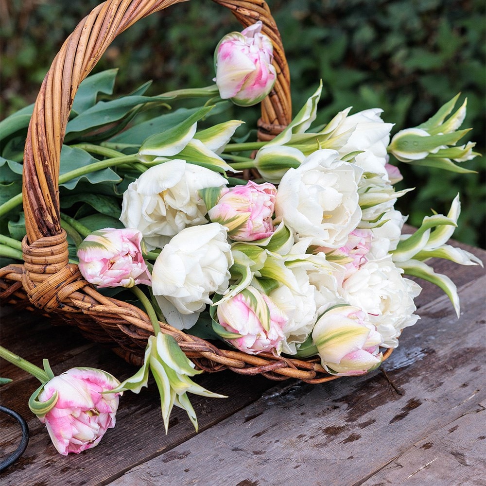 Product options image