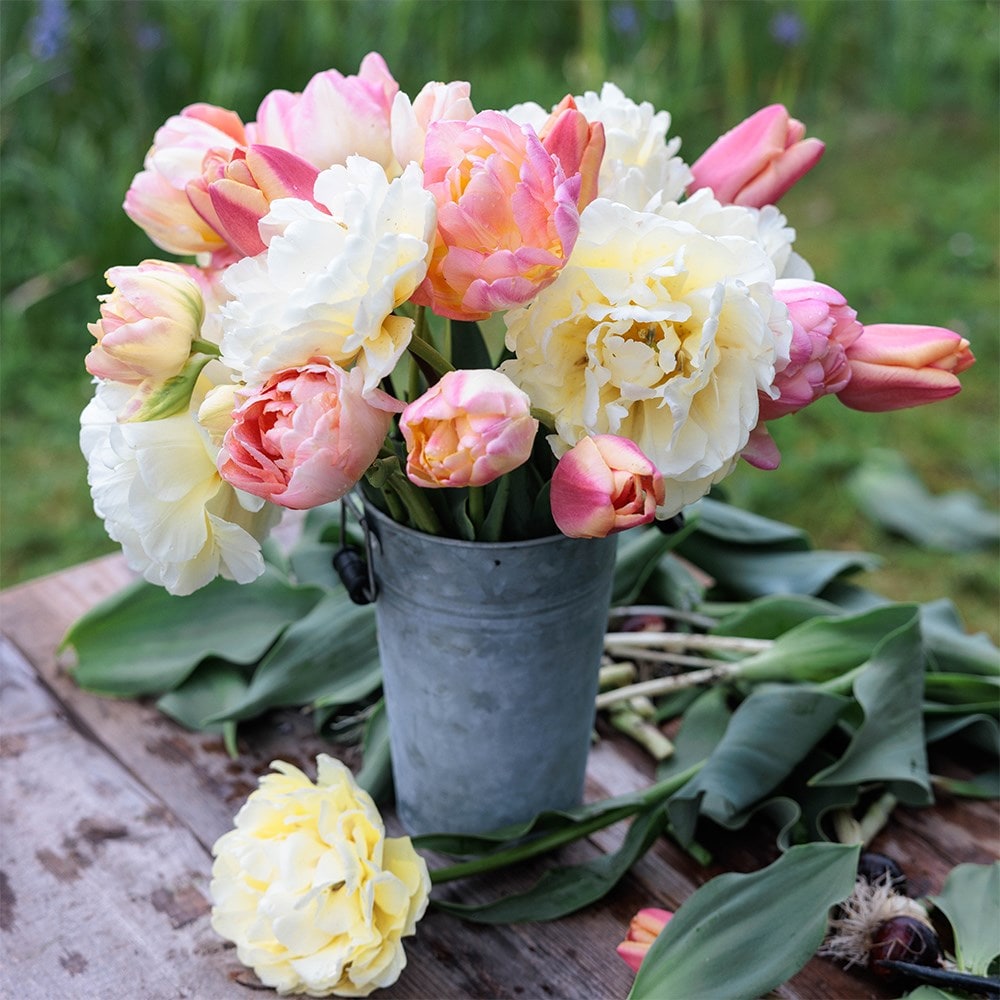 Product options image