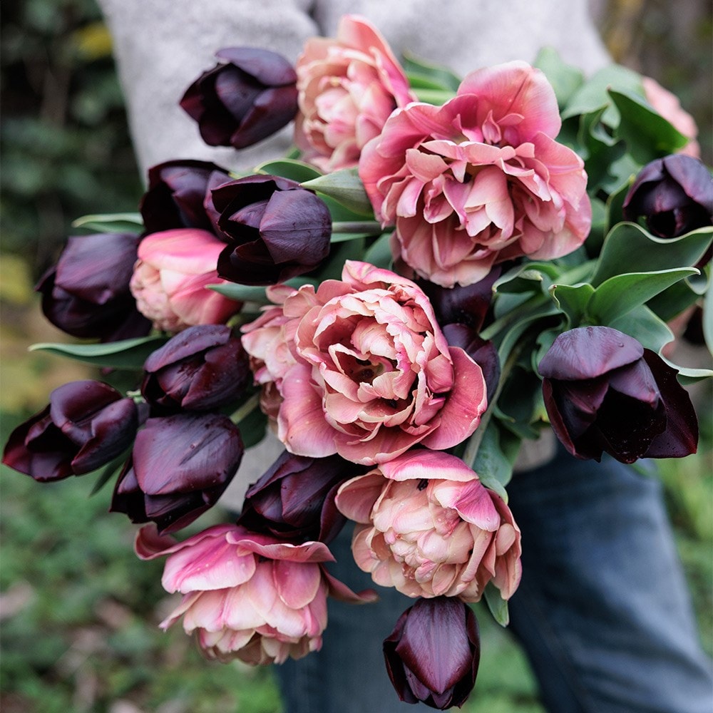 Product options image