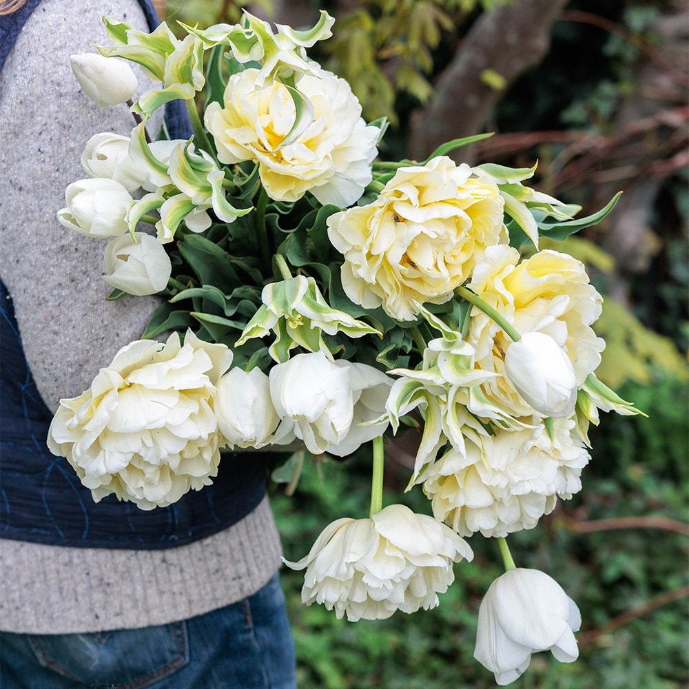 Product options image