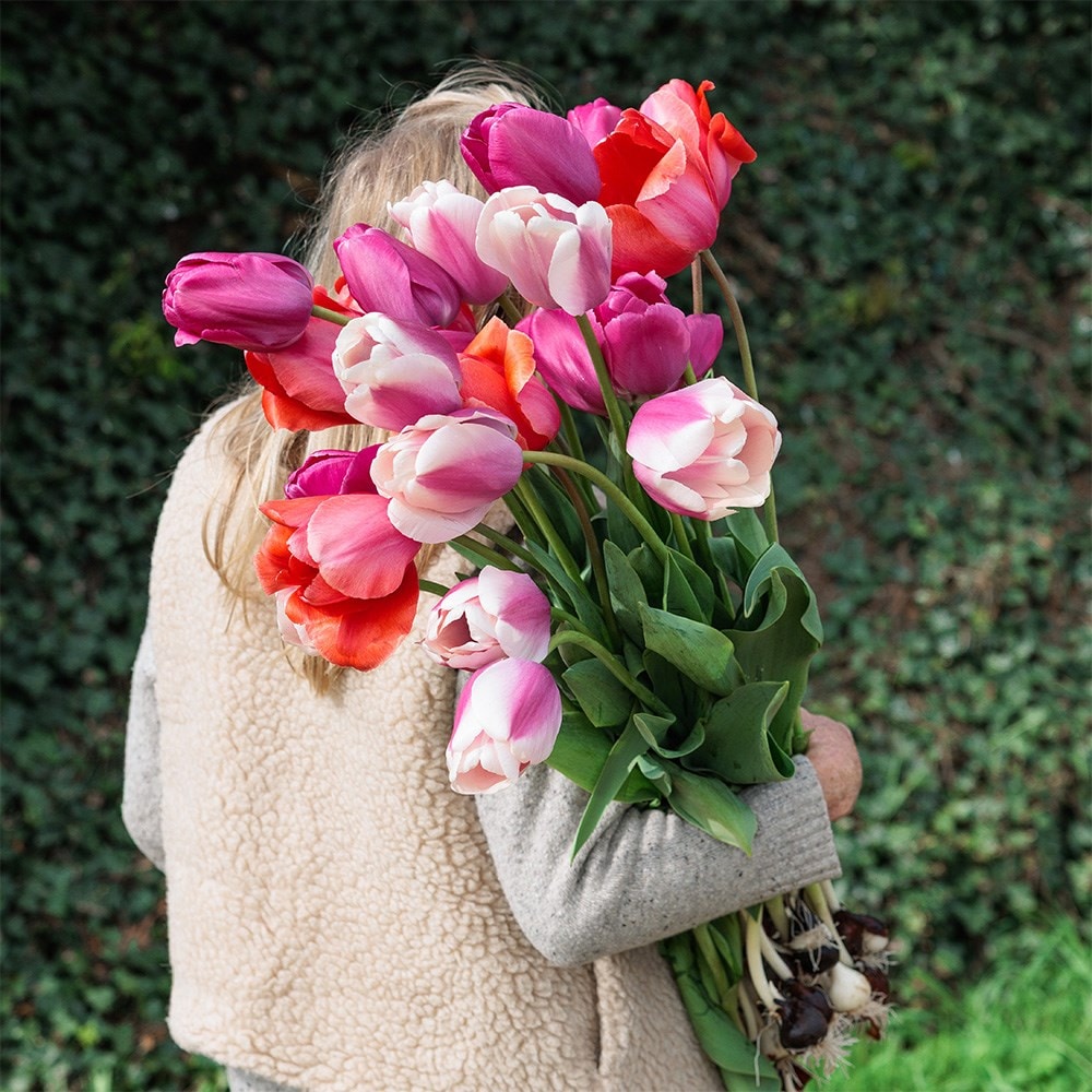 Product options image