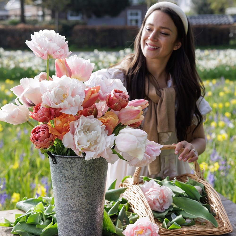 Leah's Vintage tulip collection 5 varieties