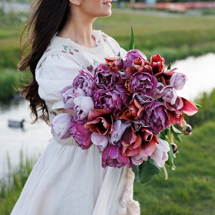 Leah's Secret garden tulip collection