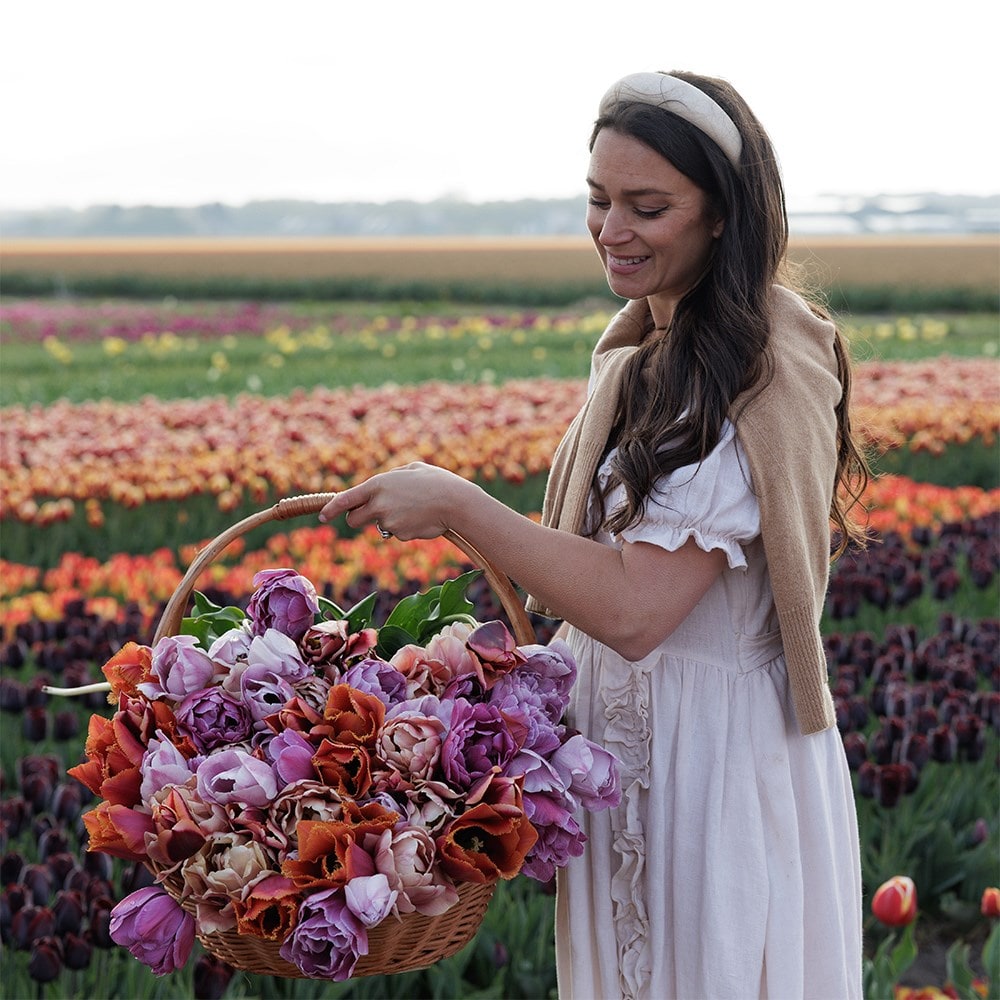 Leah's Secret garden tulip collection 5 varieties