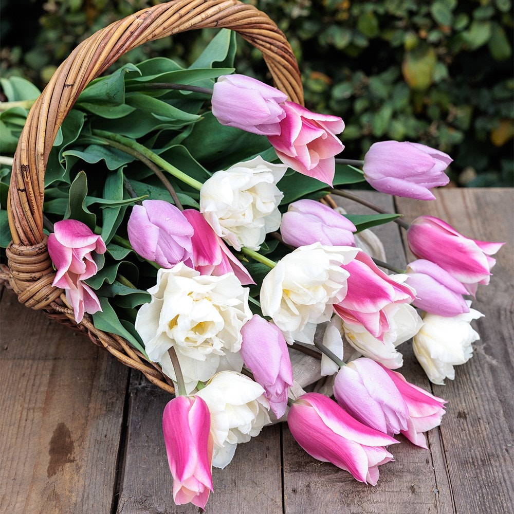 Product options image