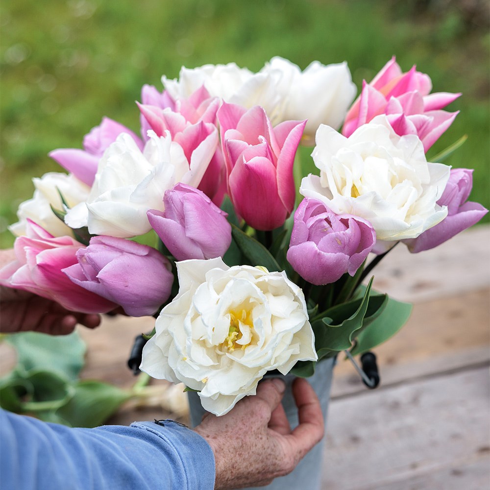 Award winning cottagecore tulip collection
