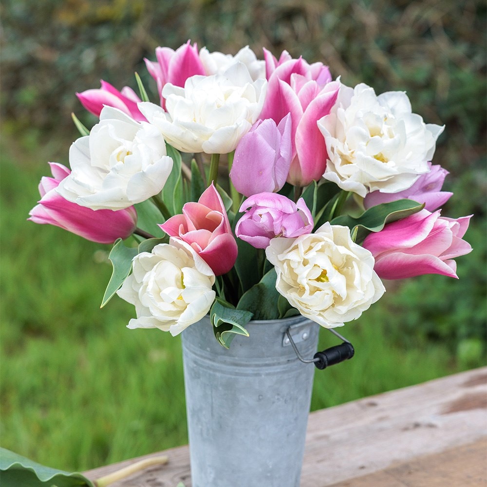Award winning cottagecore tulip collection