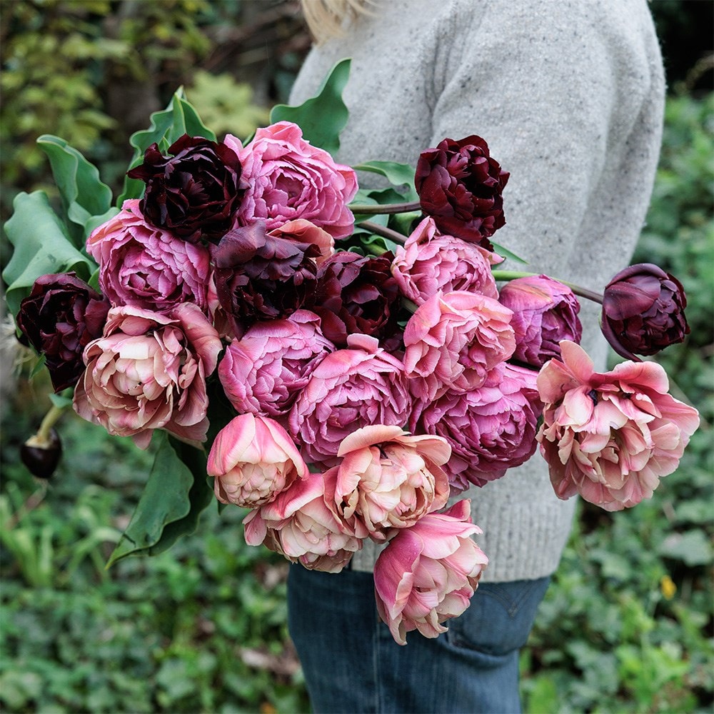 Product options image