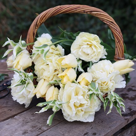 Creme fraiche tulip collection