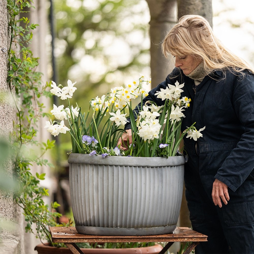 <i>100 days of spring promise</i> 'pot collection'