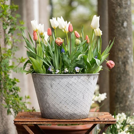 100 days of pastels pot collection