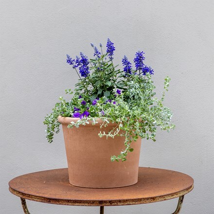 Cool Blue - Easyplanter for hanging baskets & patio pots