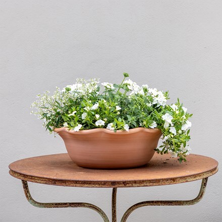 White Window Box - Easyplanter for hanging baskets & patio pots