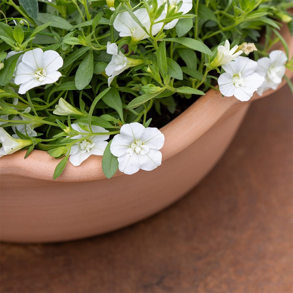 White Window Box - Easyplanter for hanging baskets & patio pots