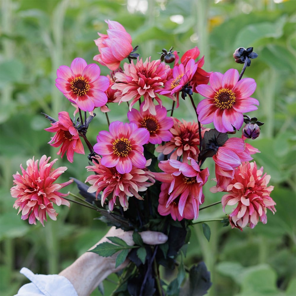 Product options image