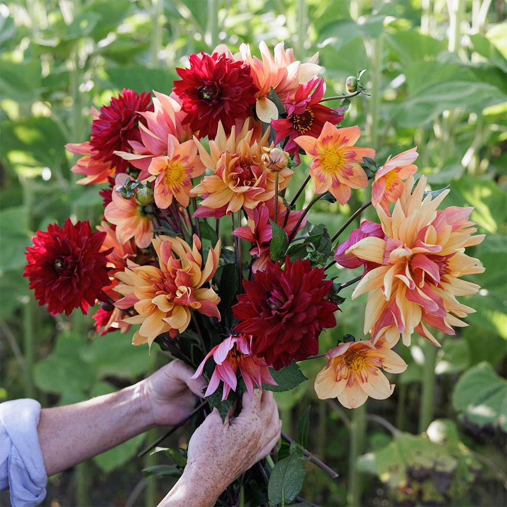 Product options image