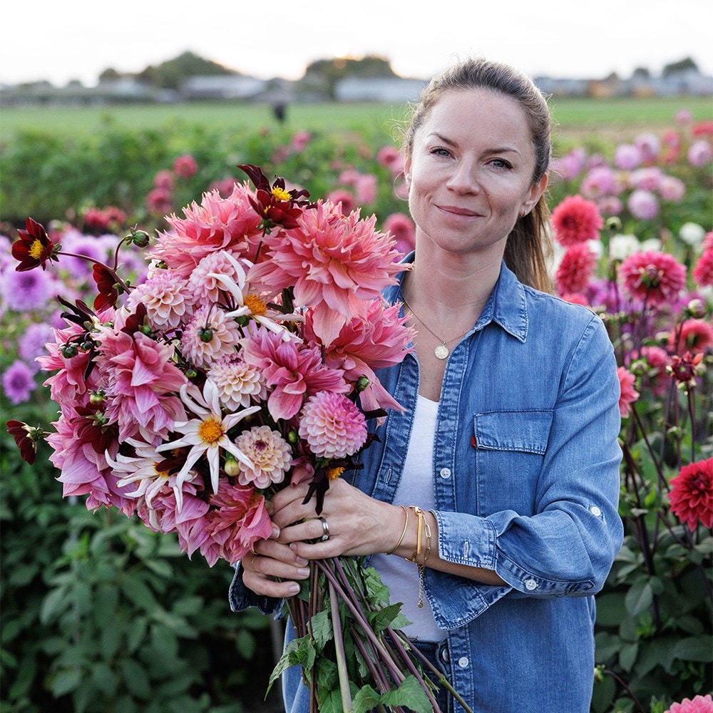 Lucy's border dahlia collection
