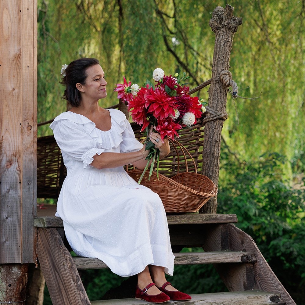 A tale of summer blooms dahlia collection