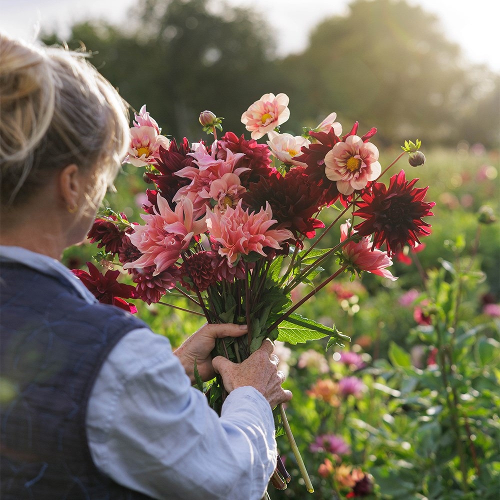 Product options image