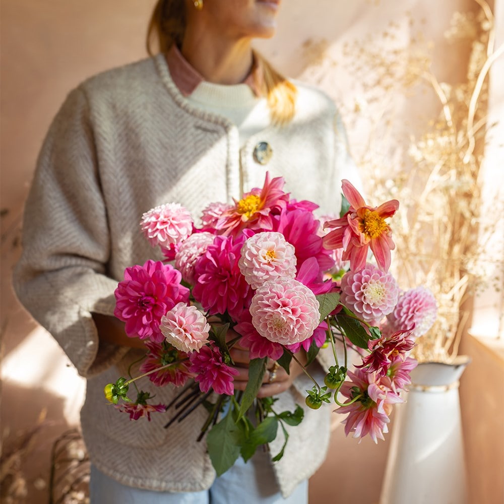 Botanical Tales dahlia collection