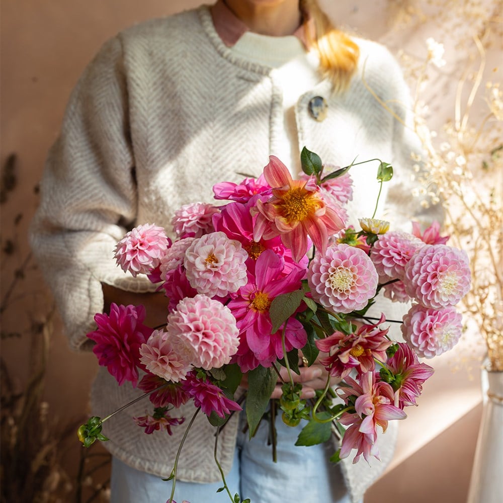 Botanical Tales dahlia collection