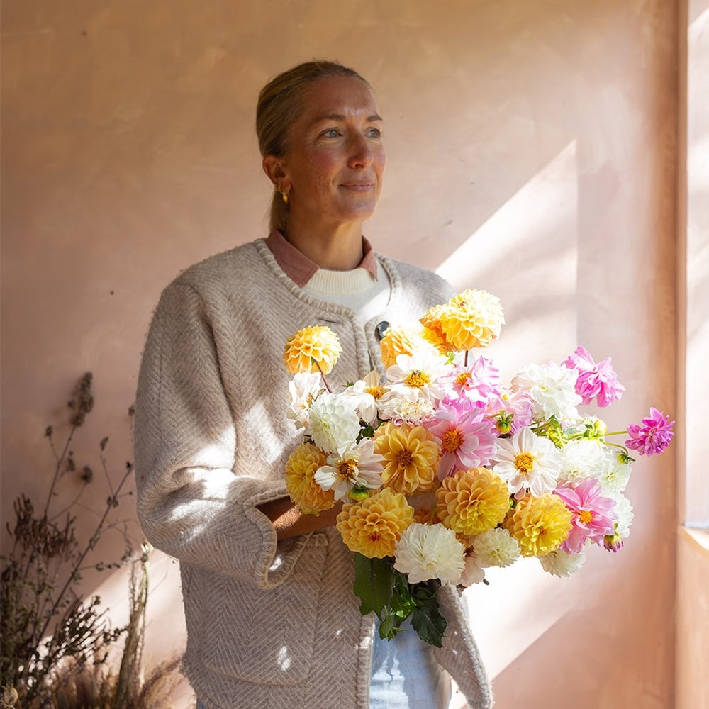 The golden hour dahlia collection