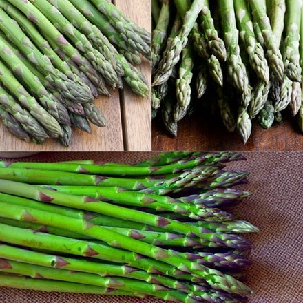 Award winning asparagus collection