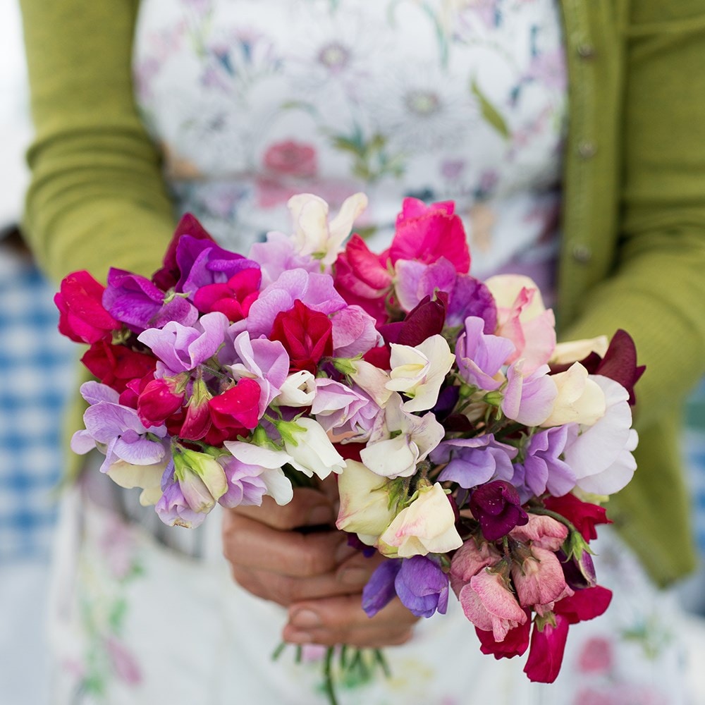 Product options image