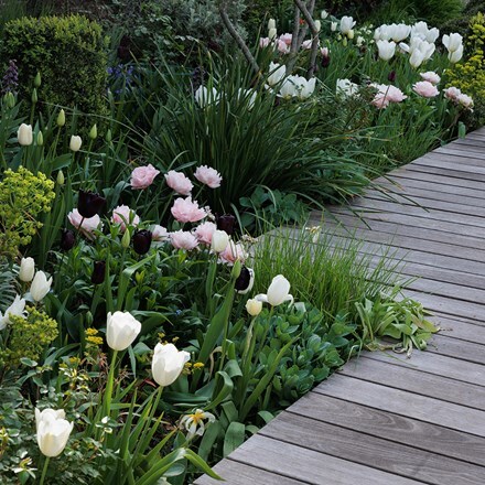 Lucy Wilcox's Contemporary pastel bulb collection