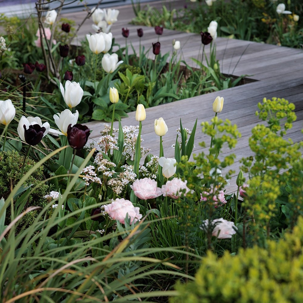 Lucy Wilcox's Contemporary pastel bulb collection