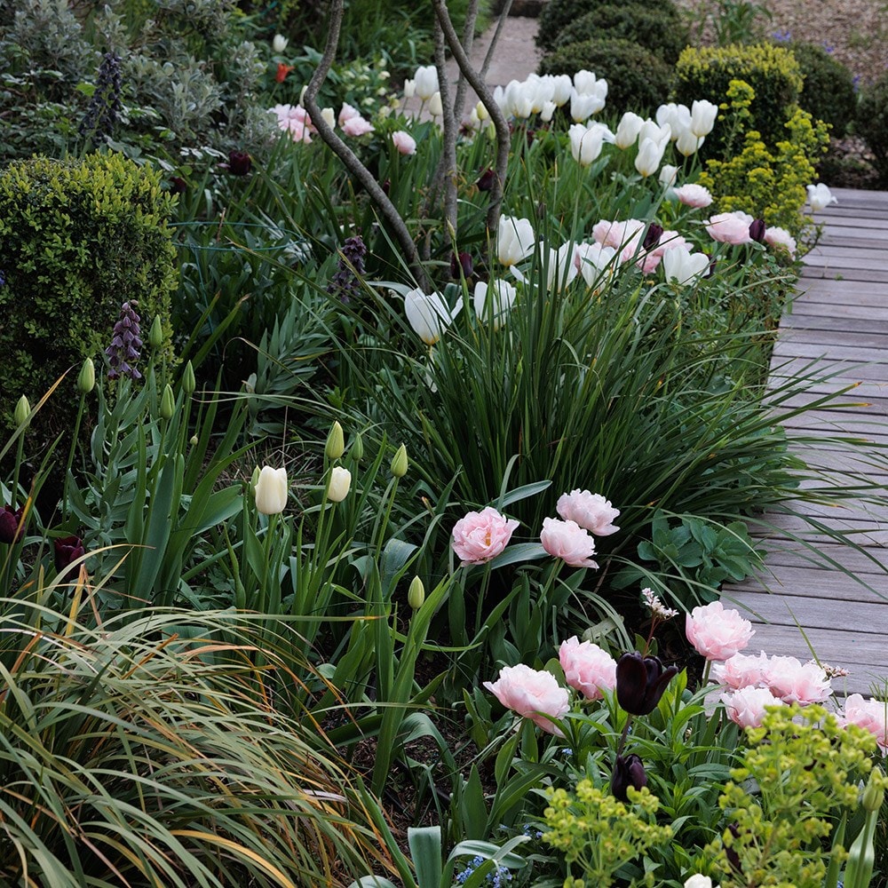 Lucy Wilcox's Contemporary pastel bulb collection