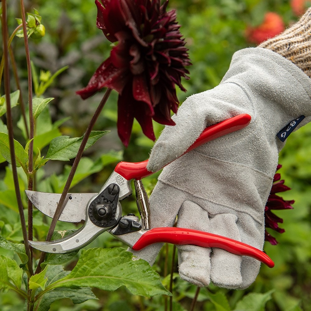 Felco original secateurs (model no 2)