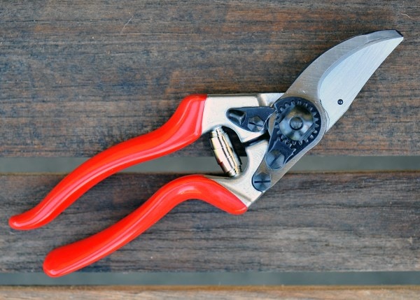 Buy Felco classic secateurs (model no 8): Delivery by Crocus