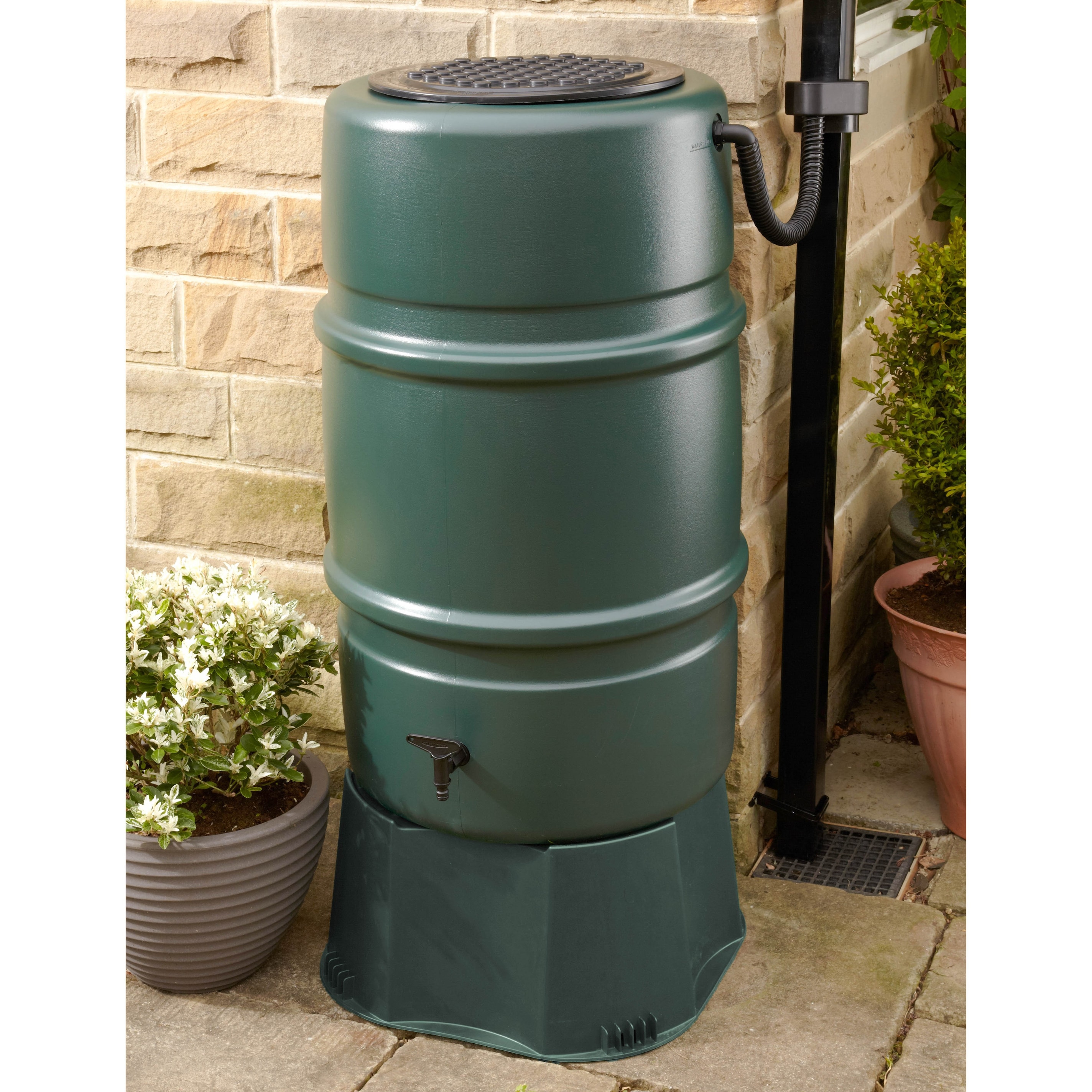 Product options image