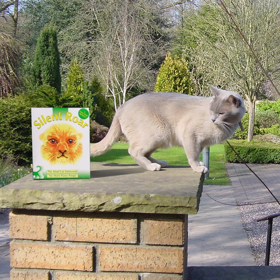 Buy Silent roar lion manure: Delivery by Waitrose Garden
