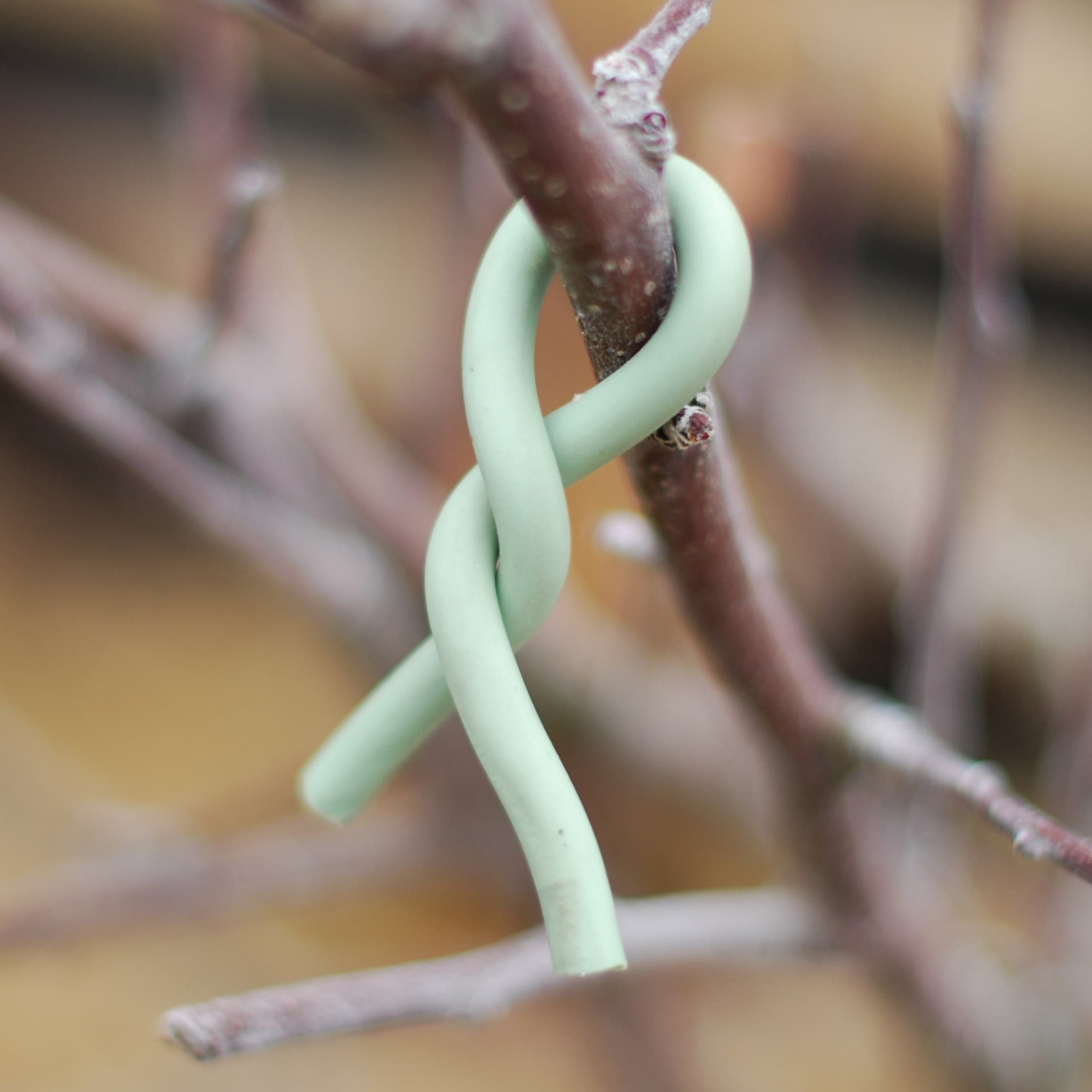 Product options image