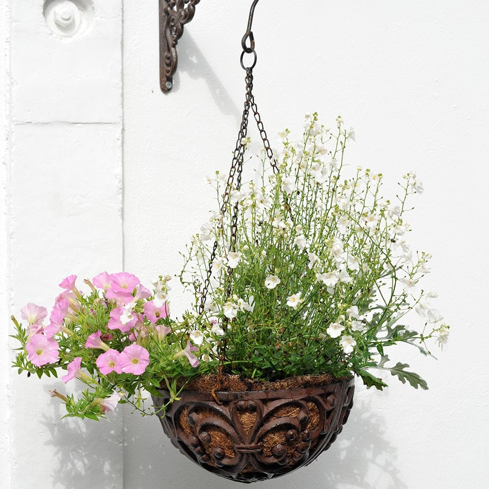 Hanging basket deals delivery