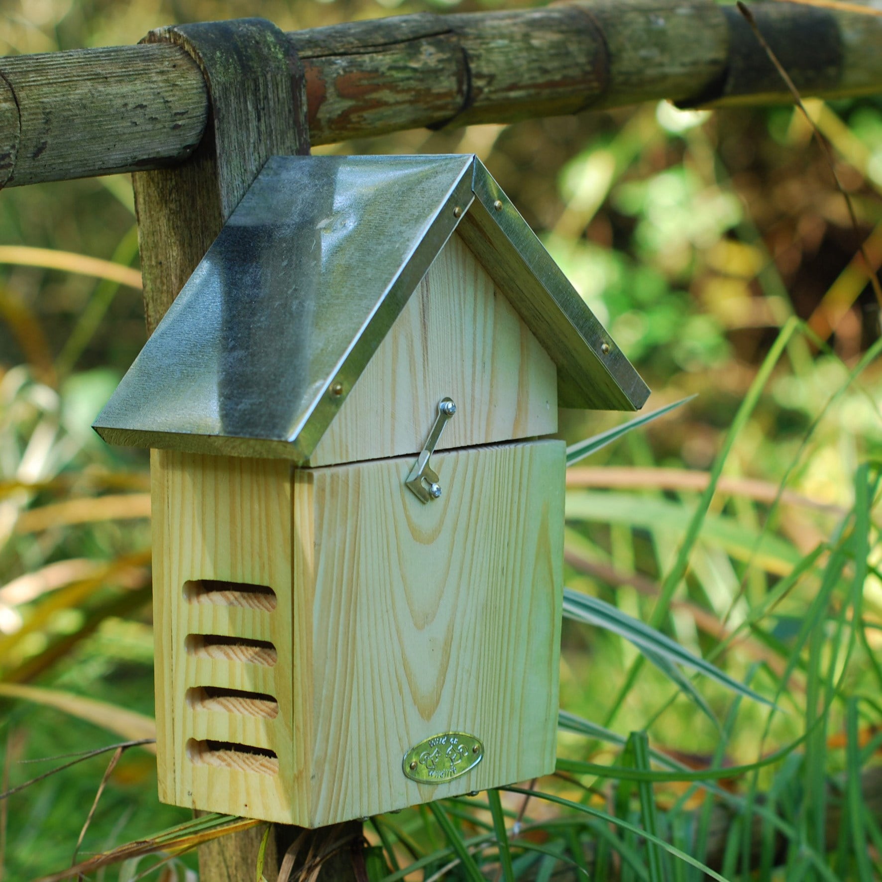 Product options image