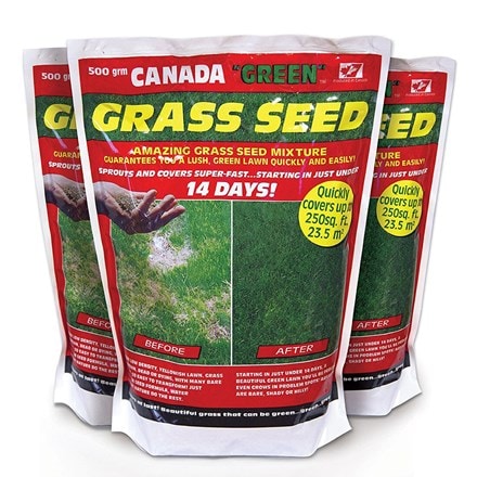 Canada green lawn seed