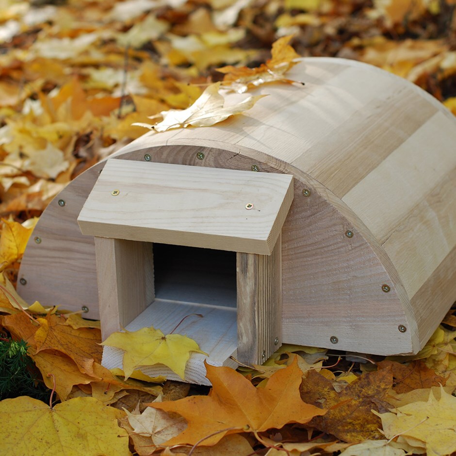 Buy Hedgehog house